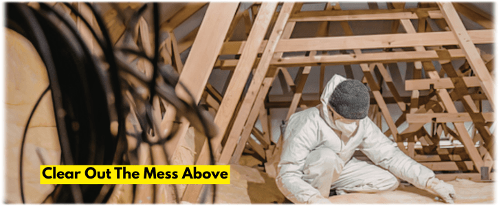 Attic Cleaning Jupiter